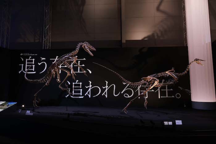 「フィールドツアー」展示風景 （M.ジャクソンもびっくりの斜め立ち！）