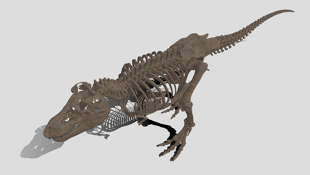 『V×Rダイナソー(R)』よりティラノサウルスの骨格化石