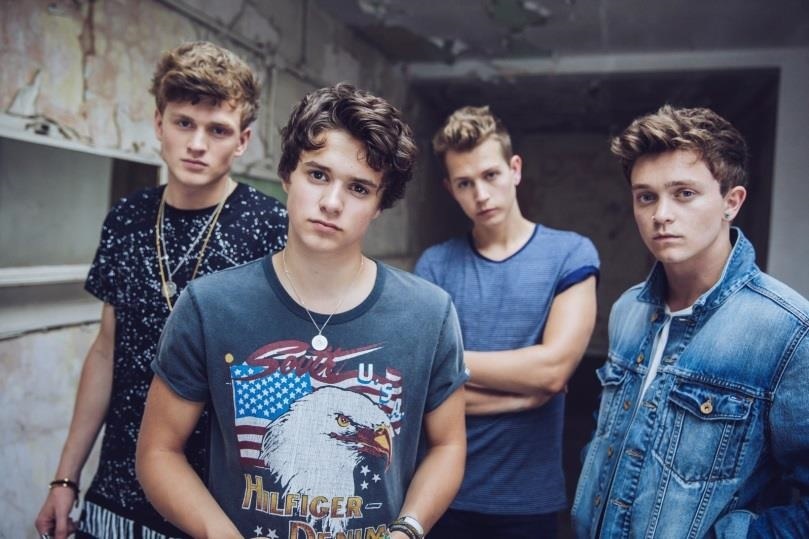 強い雪 The Vamps ザ・ヴァンプス 日本公演 ギターピック | www