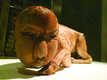 妖怪 ミイラ展 浮世絵から幻獣ミイラまで 日本で唯一現存する 妖怪 件 くだん の剥製も展示 Spice エンタメ特化型情報メディア スパイス