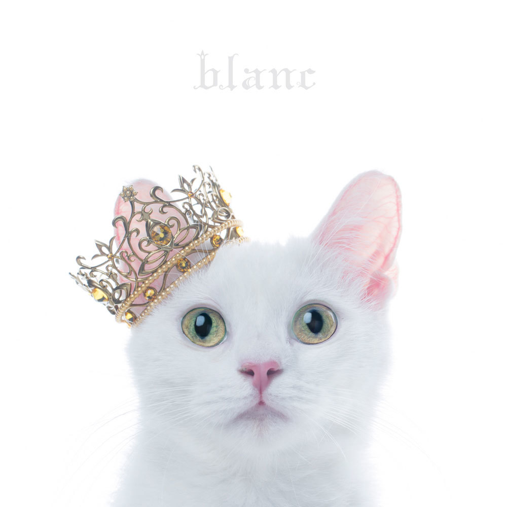 Aimer『BEST SELECTION “blanc”』