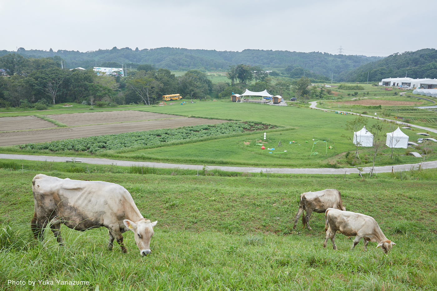 KURKKU FIELDS