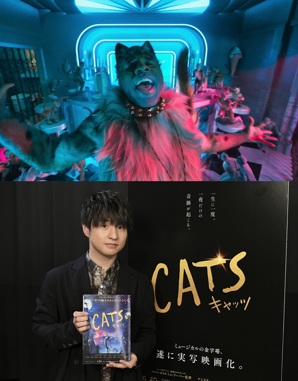 Official髭男dism 藤原聡が映画 キャッツ 日本語吹き替え版キャストに決定 ワイルドな猫ラム タム タガーを演じる Musicman