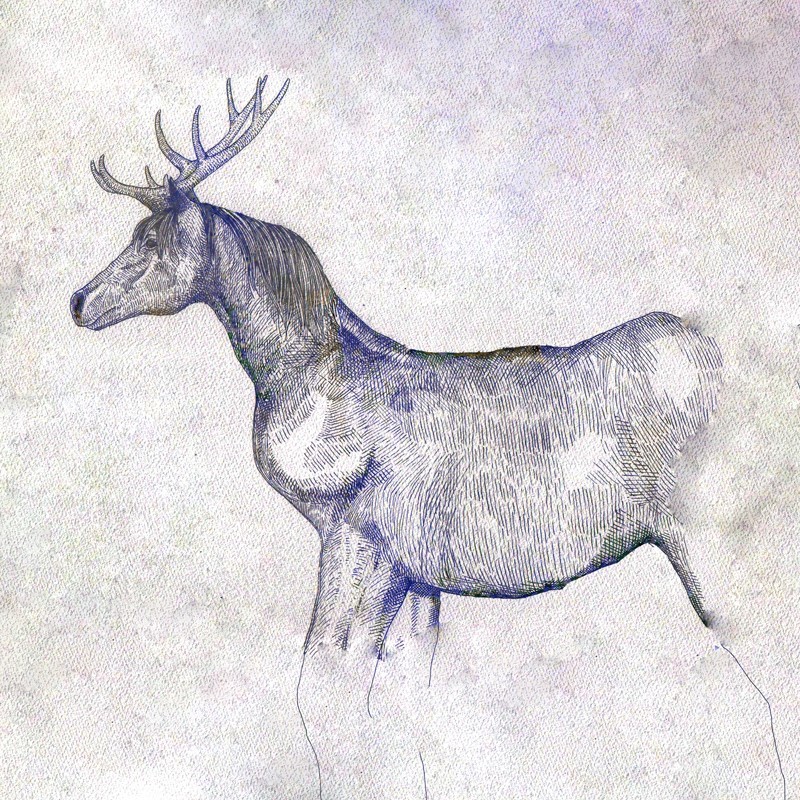 「馬と鹿」