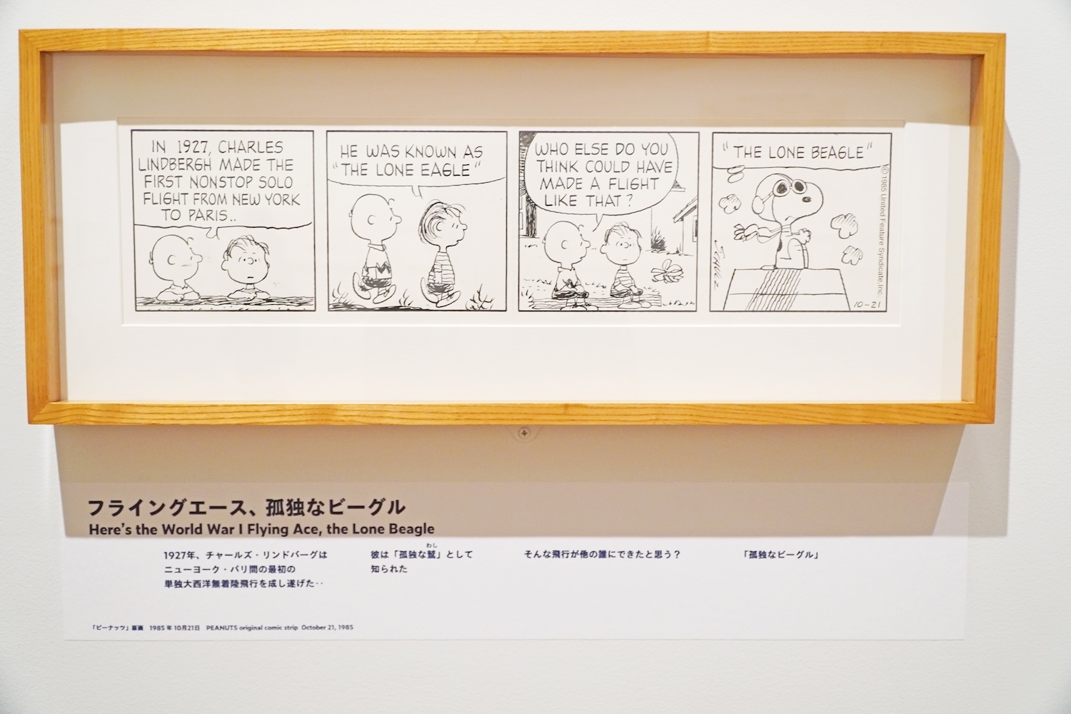 展示風景