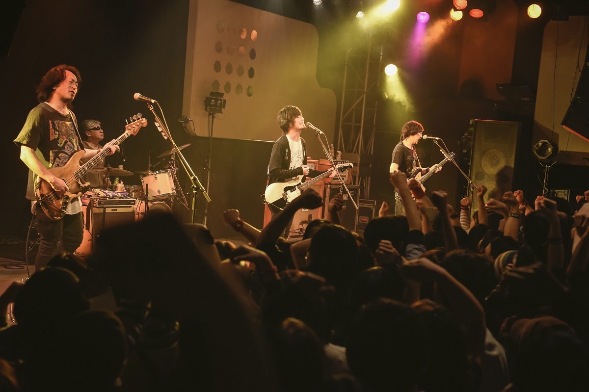 the pillows 撮影＝釘野孝宏