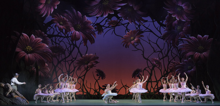 Don Quixote. Artists of The Royal Ballet. c ROH, Johan Persson, 2013.