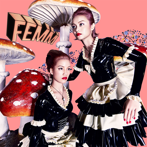 FEMM