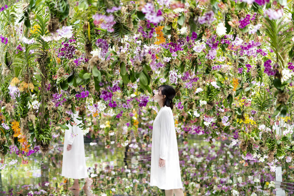 チームラボ《Floating Flower Garden：花と我と同根、庭と我と一体》(C)️ チームラボ