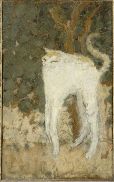 ピエール・ボナール《白い猫》1894年　油彩、厚紙　51.9×33.5cm　オルセー美術館