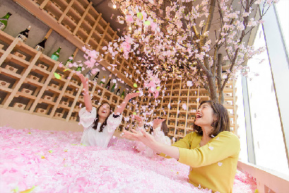 「体験型インドア花見」を楽しめるチルアウトバー「SAKURA CHILL BAR by 佐賀」が、表参道に期間限定オープン