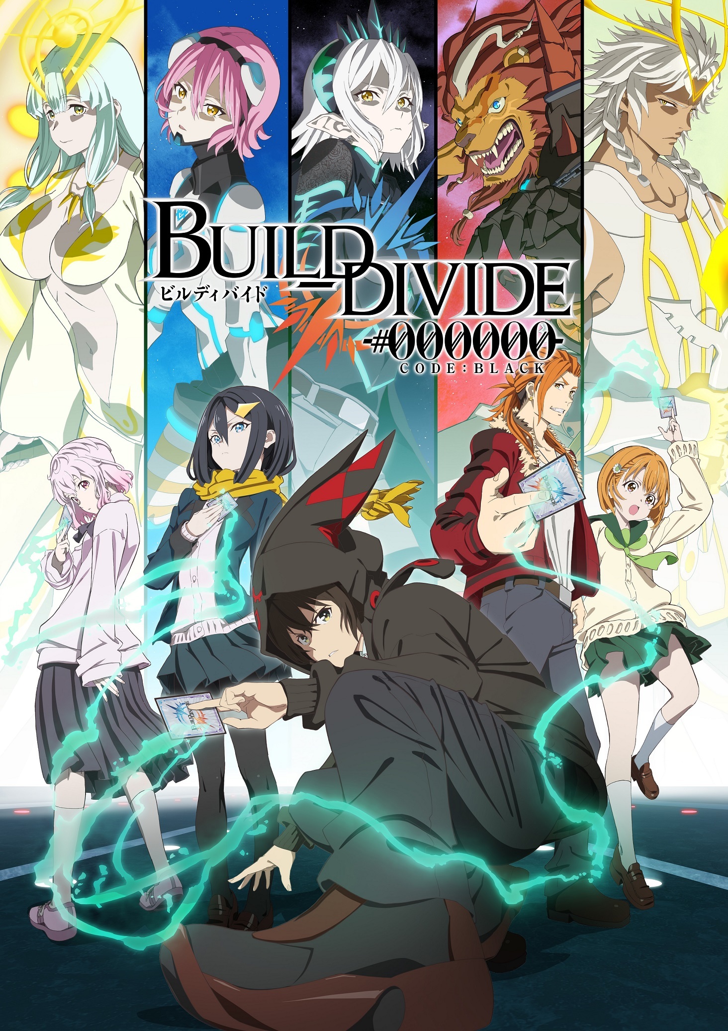 （c）build-divide project