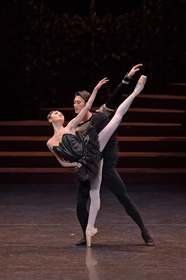 新国立劇場バレエ団、『白鳥の湖』を題材にバレエ芸術・生の舞台の魅力を体験できる「エデュケーショナル・プログラム」を開催