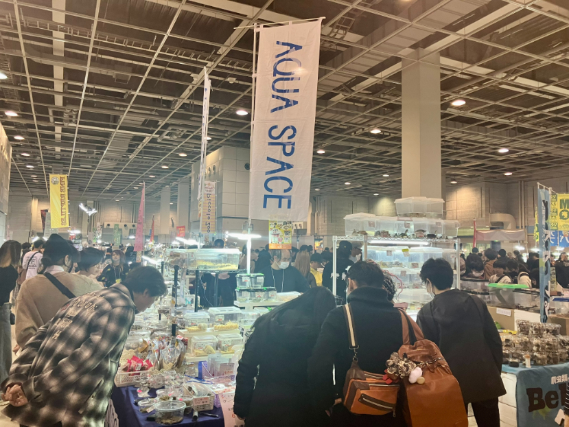 ※前回開催時の様子