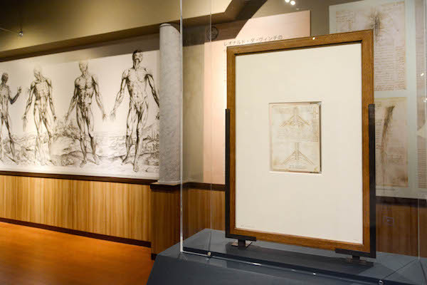レオナルド・ダ・ヴィンチの『解剖手稿』より《腕神経叢》（画面右）