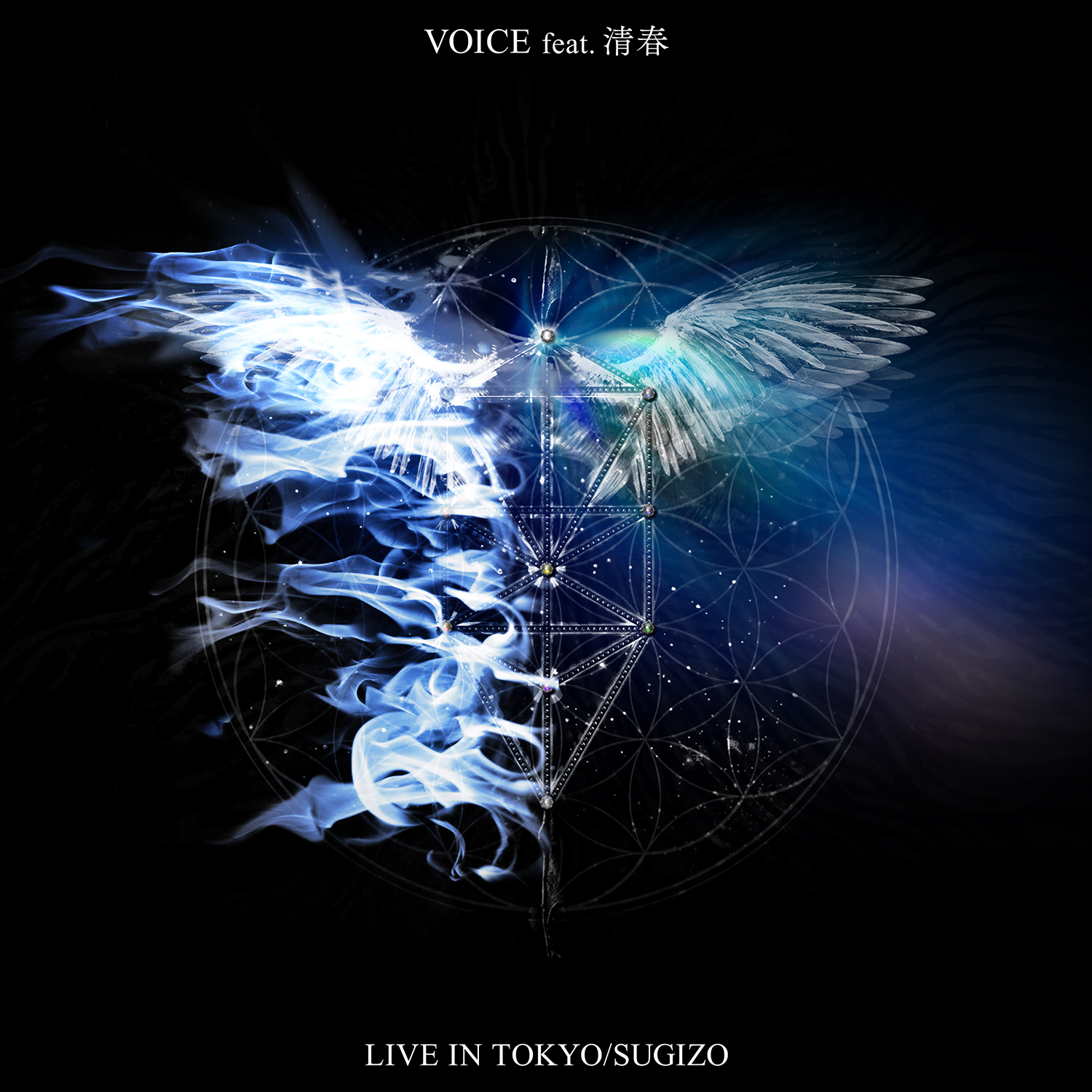 VOICE_A