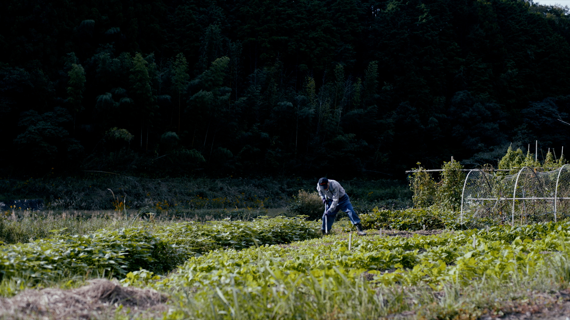  映画『はだかのゆめ』（C）PONY CANYON