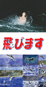 川島小鳥と小橋陽介『飛びます』展が熱海で開催、論LONESOME寒とコラボも