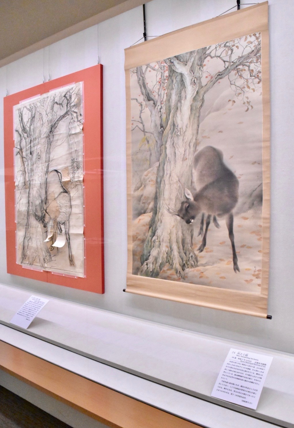 左：角とぐ鹿　昭和7年（1932）京都市美術館蔵　右奥：角とぐ鹿 下絵　昭和7年（1932）