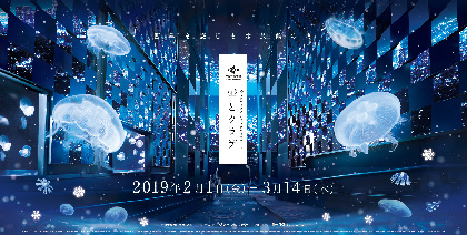 幻想的な空間や恋のパワースポットなど冬ならではのイベントが！冬だからこそ行きたい水族館５選