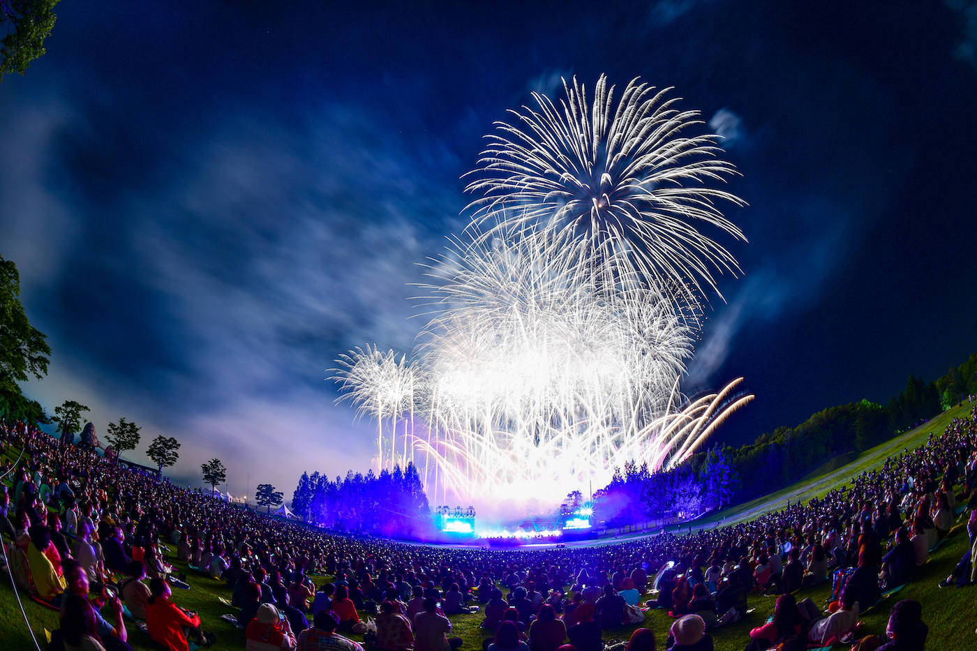 12,000発の花火と極上の音響でディズニーミュージックが夜空を彩る