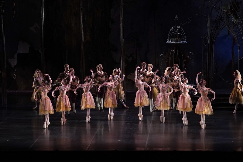 K-BALLET TOKYO Spring Tour 2025 『白鳥の湖』 　　　　　　　　(C)K-BALLET TOKYO