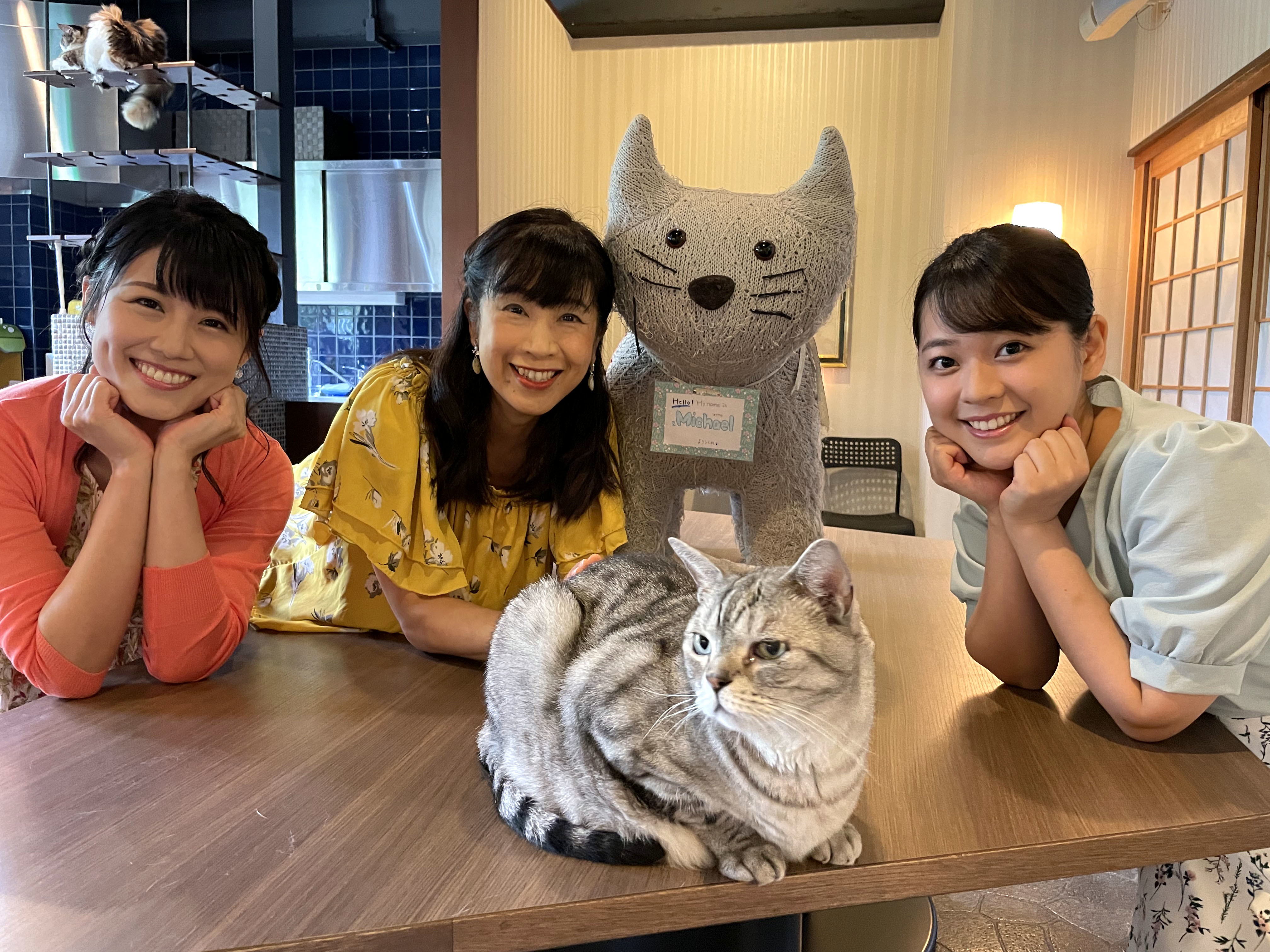 猫をキーワードにした『にゃんだらけ in 大阪』のアンバサダーに 