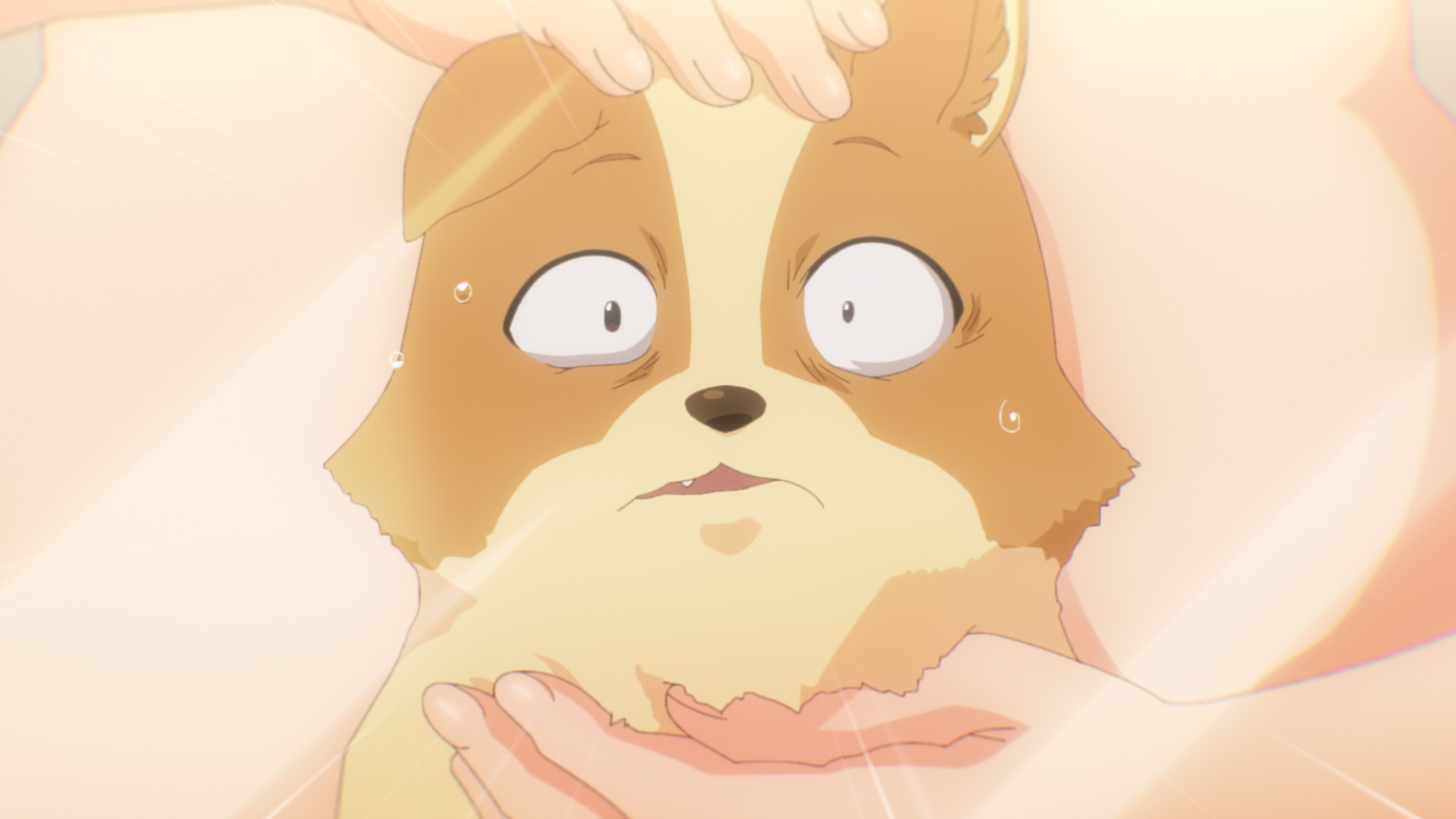 (C)古川五勢・講談社／犬ひろ製作委員会