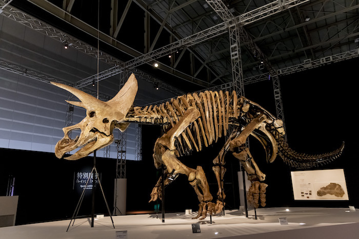 ソニーの恐竜展『DinoScience 恐竜科学博』はこんなにスゴイ！ 大興奮