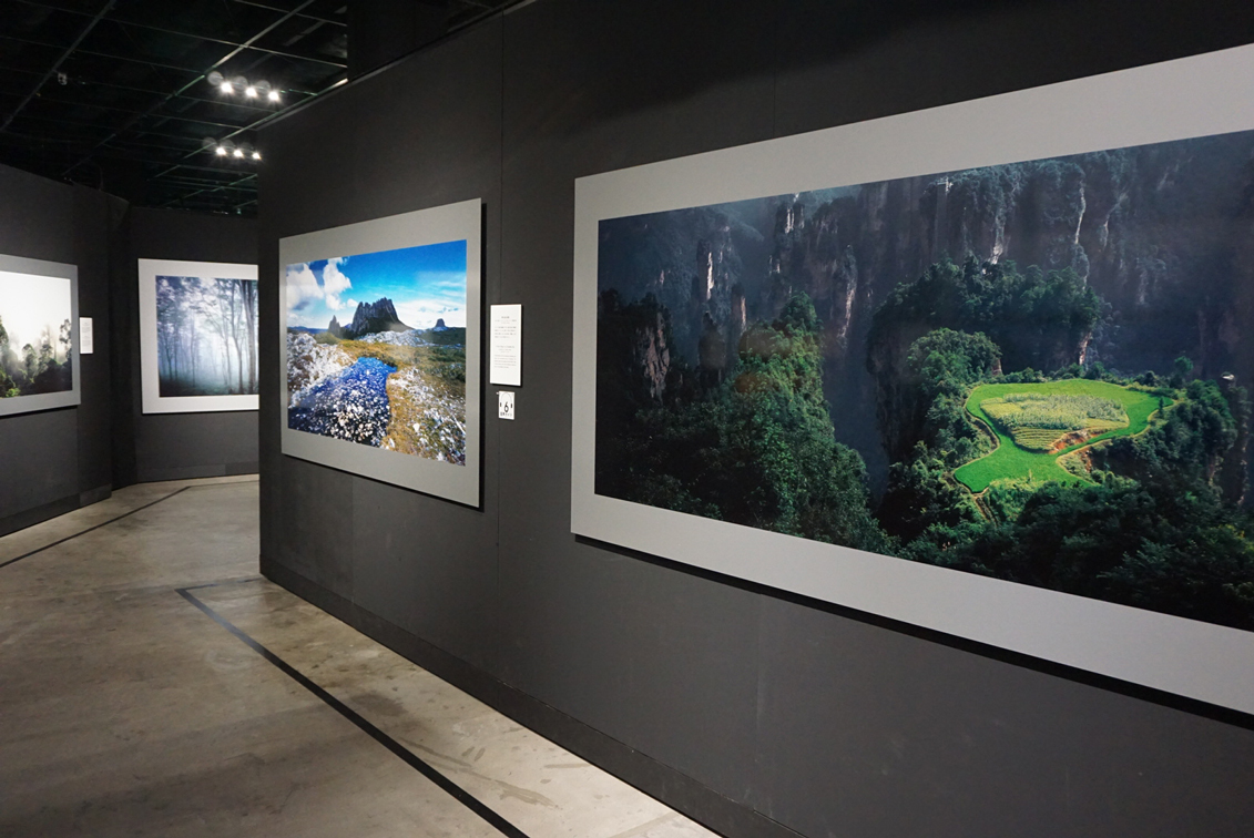 画像 写真と水槽で体感する 大自然の美しさ 天野尚 Nature Aquarium展 レポート の画像7 22 Spice エンタメ特化型情報メディア スパイス