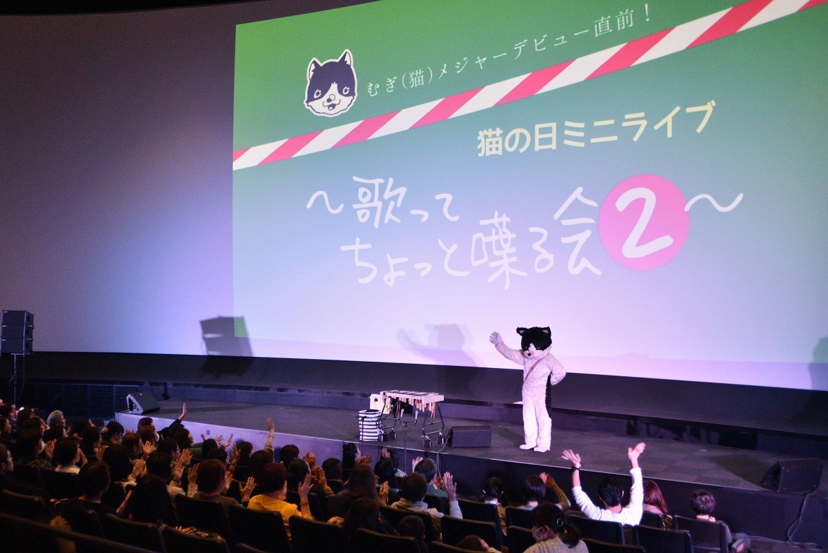 むぎ（猫） 撮影＝小野正博