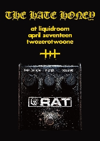 THE HATE HONEY、ライブDVD発売決定 T$UYO$HIを迎えた対談も収録