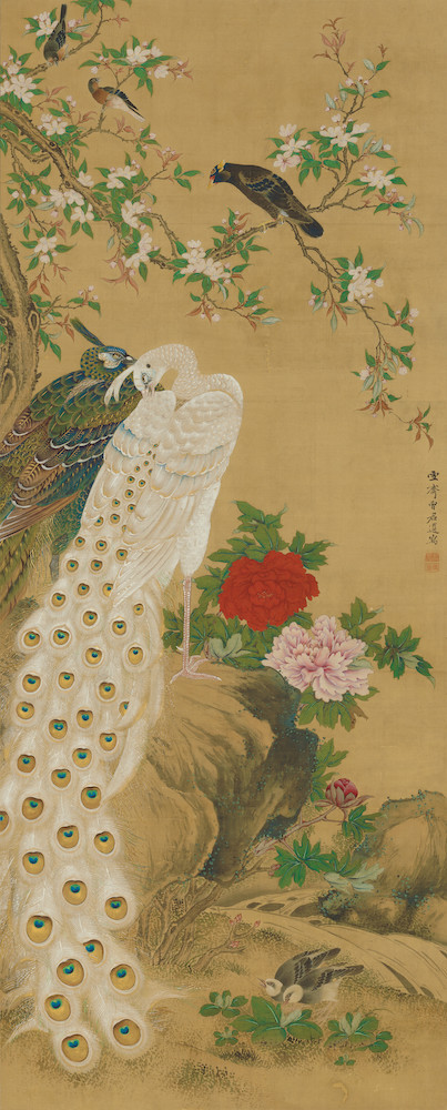 増山雪斎 《孔雀図》（左幅） 江戸時代、享和元年（1801） Museum of Fine Arts, Boston, Fenollosa-Weld Collection  Photograph (C) Museum of Fine Arts, Boston