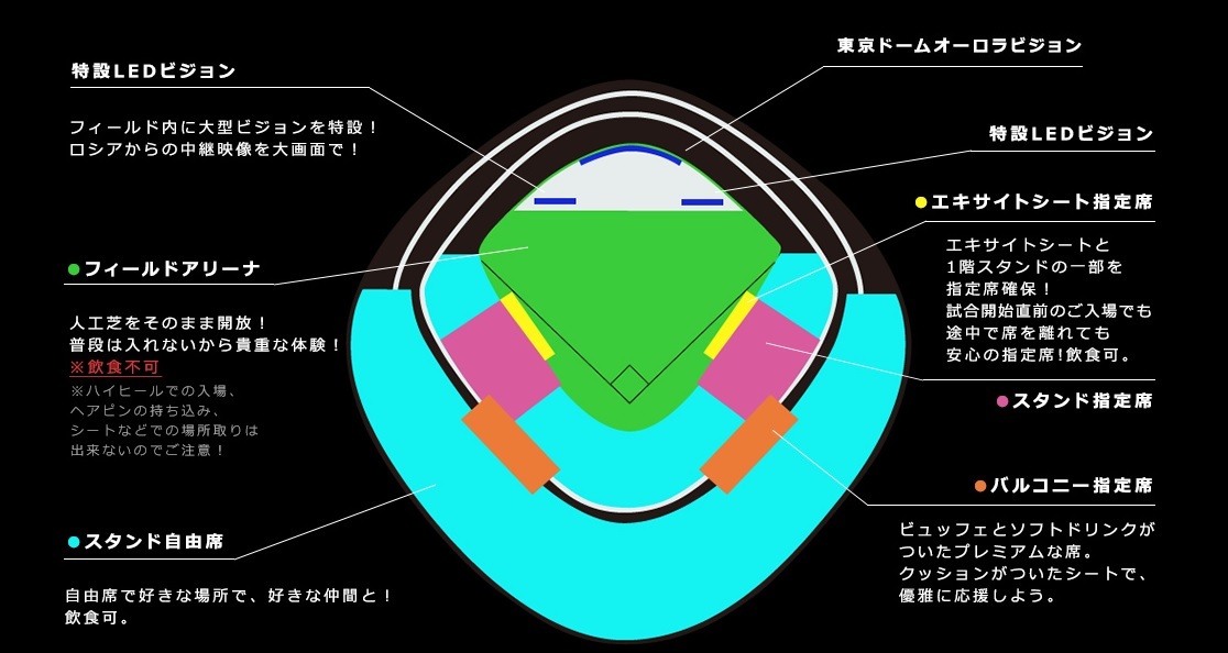 当日は人工芝のグラウンドが開放される