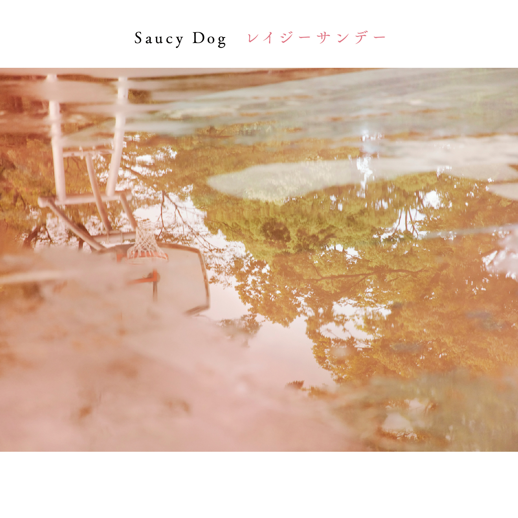 『Saucy Dog』ジャケット