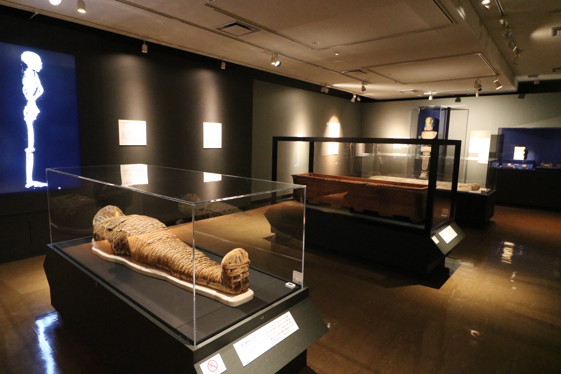 『大英博物館ミイラ展 古代エジプト6つの物語』　撮影＝黒田奈保子