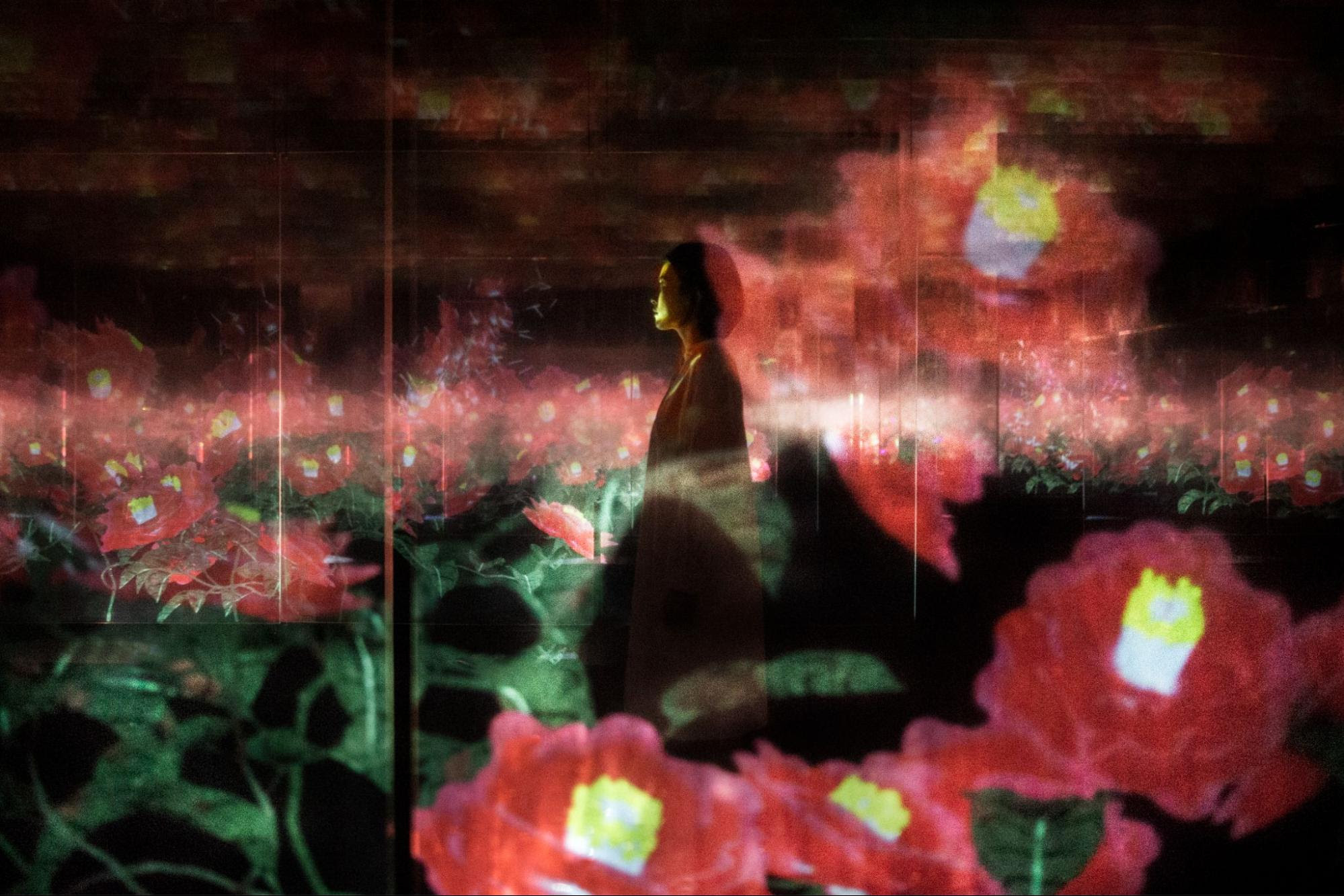 《積層された空間に咲く花々 / Flowers - Layered Ultrasubjective Space》teamLab, 2018, Digital Installation, Endless, Sound: Hideaki Takahashi, 