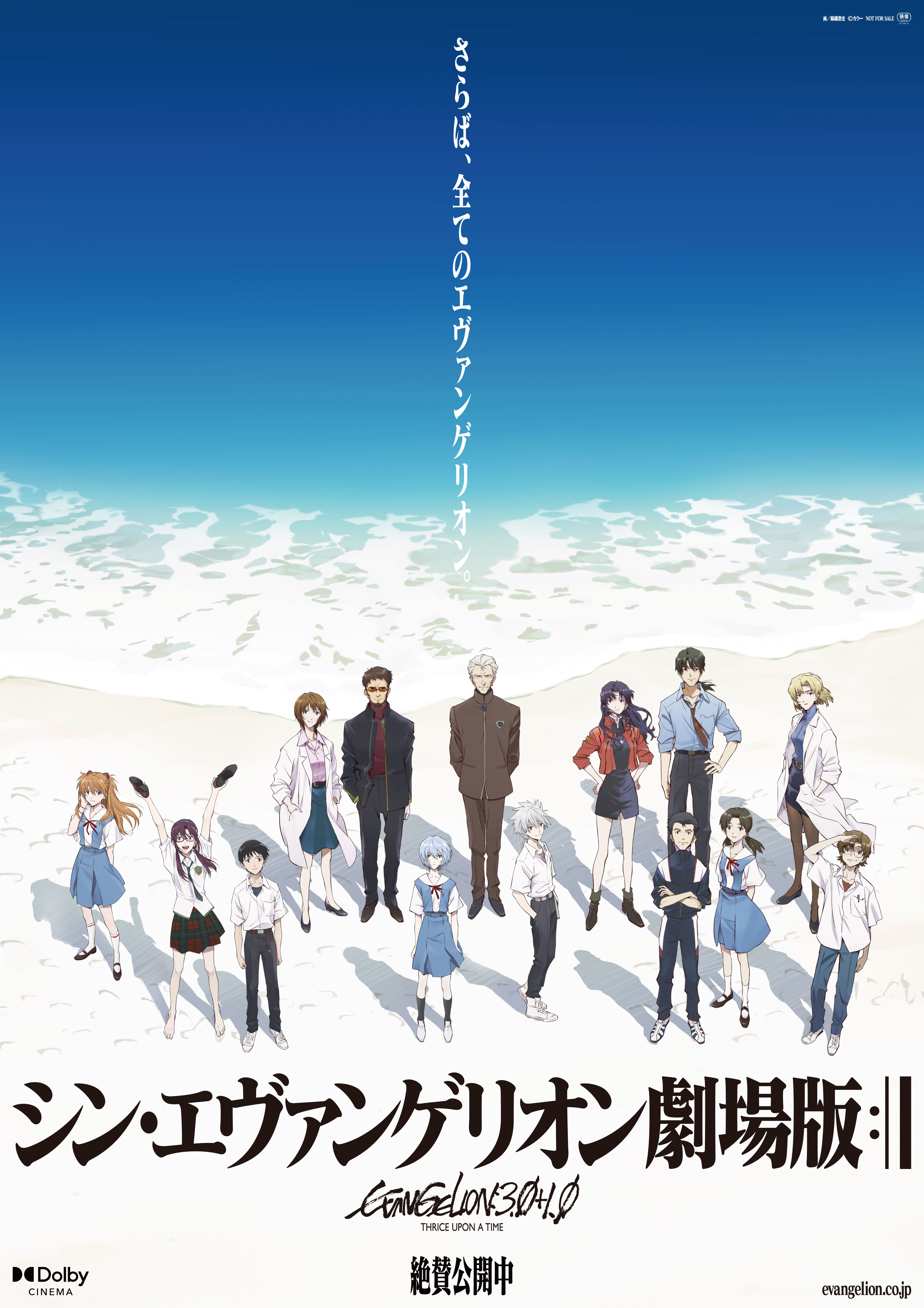 （C）カラー