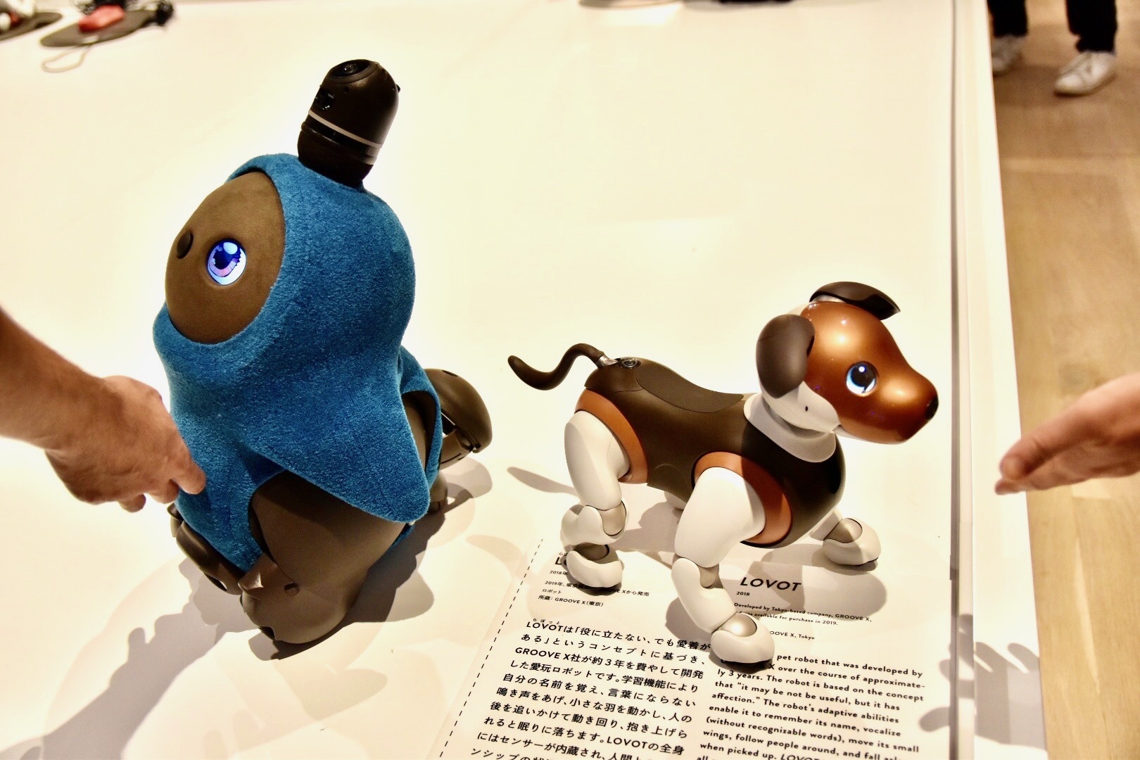 左：LOVOT（らぼっと）2018年 右：エンタテインメントロボット aibo 2017年