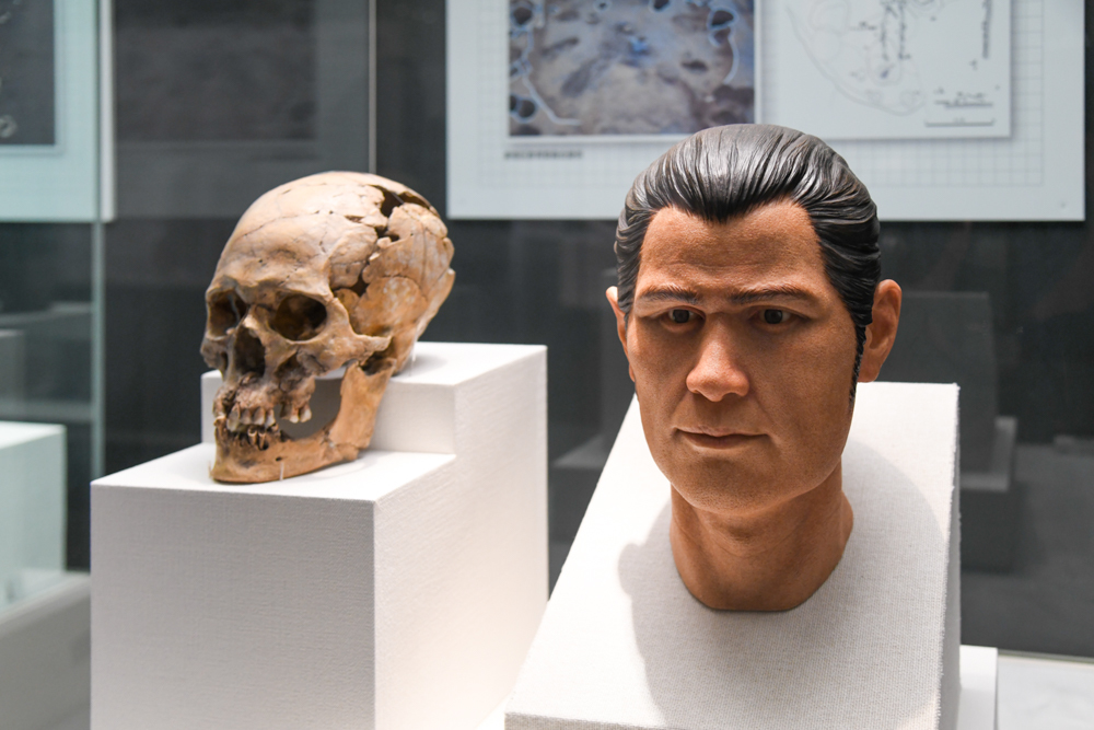 「墓と縄文人」の展示