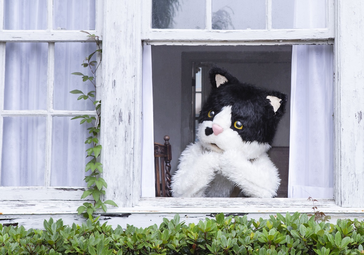 むぎ(猫)、“いつか出会ったあの猫”を思い出す 本ニャン制作の