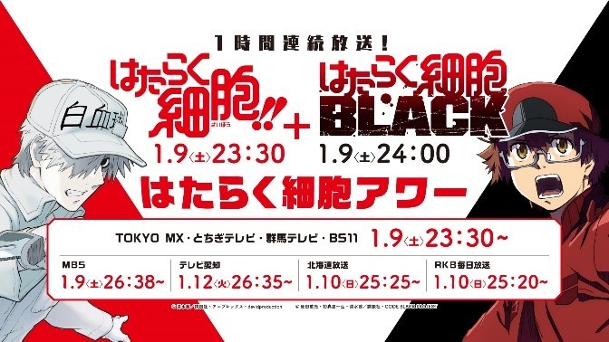 Tvアニメ はたらく細胞black 第2弾pv公開 詳細情報も解禁 そして はたらく細胞 第2期edテーマはclarisに決定 コメントも各種到着 Spice エンタメ特化型情報メディア スパイス