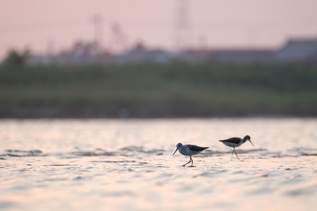 愛知県名古屋市(C)菅原貴徳