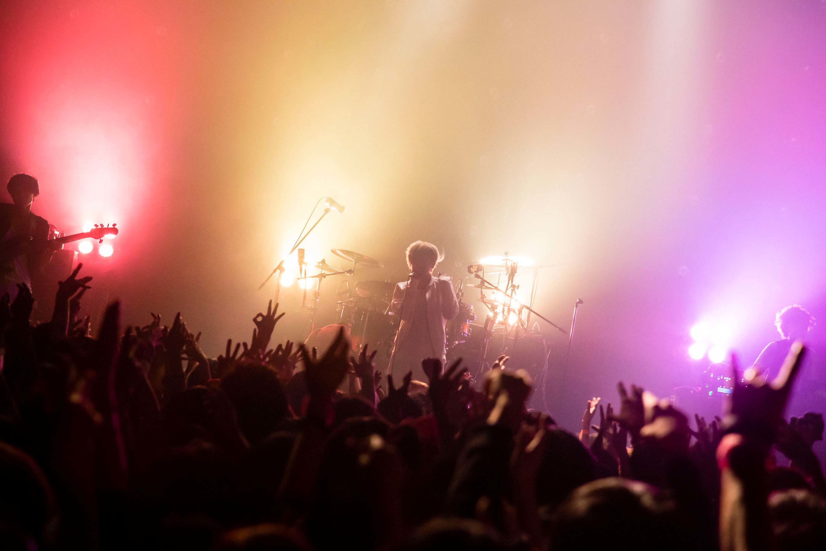 ミオヤマザキ　ライブ写真