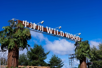 岐阜・中津川で開催　スカパラ、The BONEZら出演の『中津川 WILD WOOD 2025』2日間を振り返る