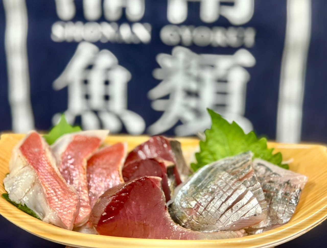 湘南魚類