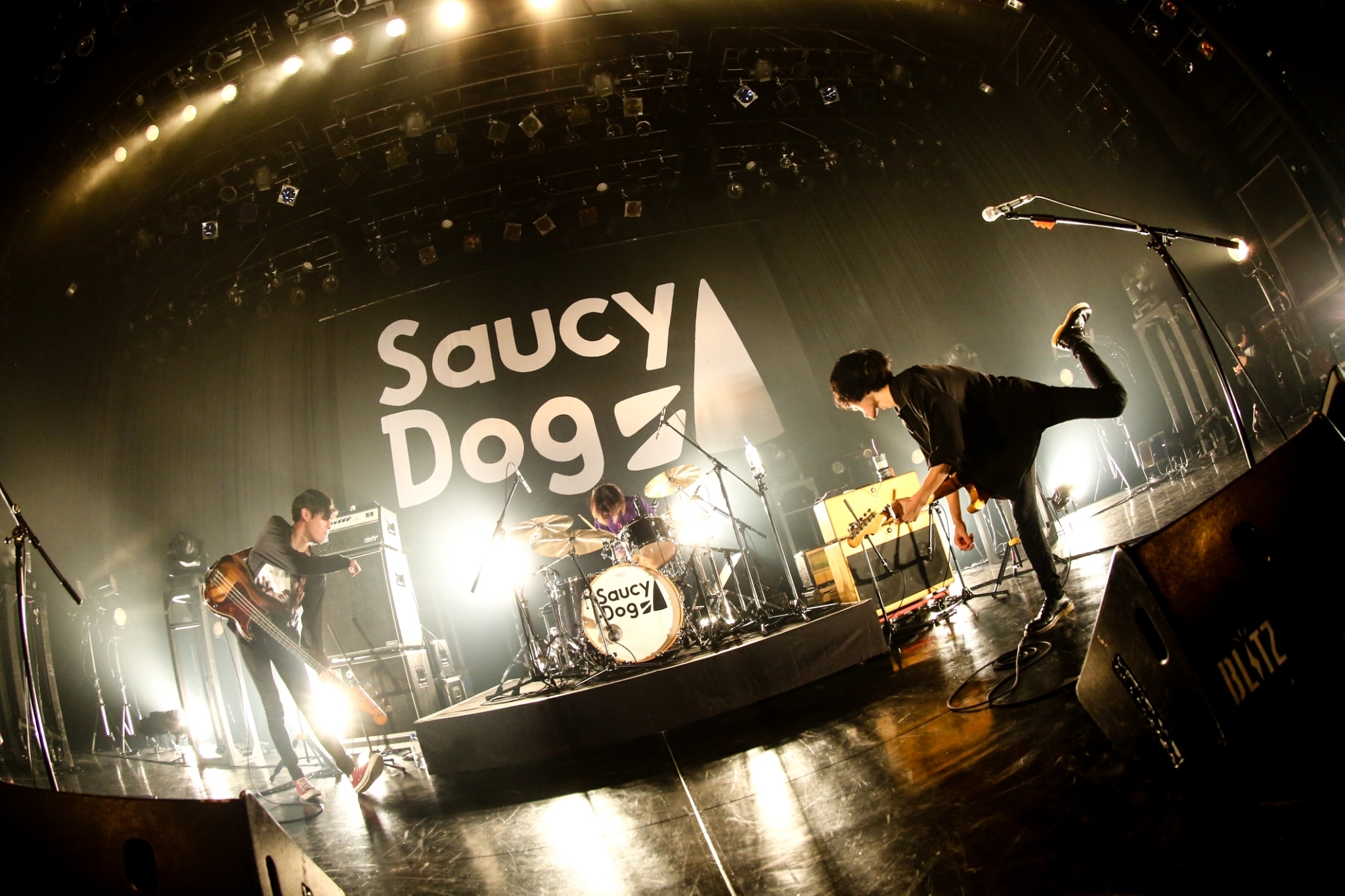 Saucy Dog  撮影＝白石達也