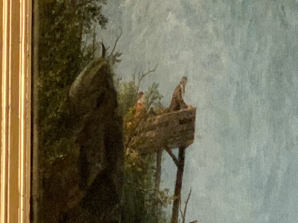 フレデリック・エドウィン・チャーチ《アメリカ側から見たナイアガラの滝》（部分）1867年