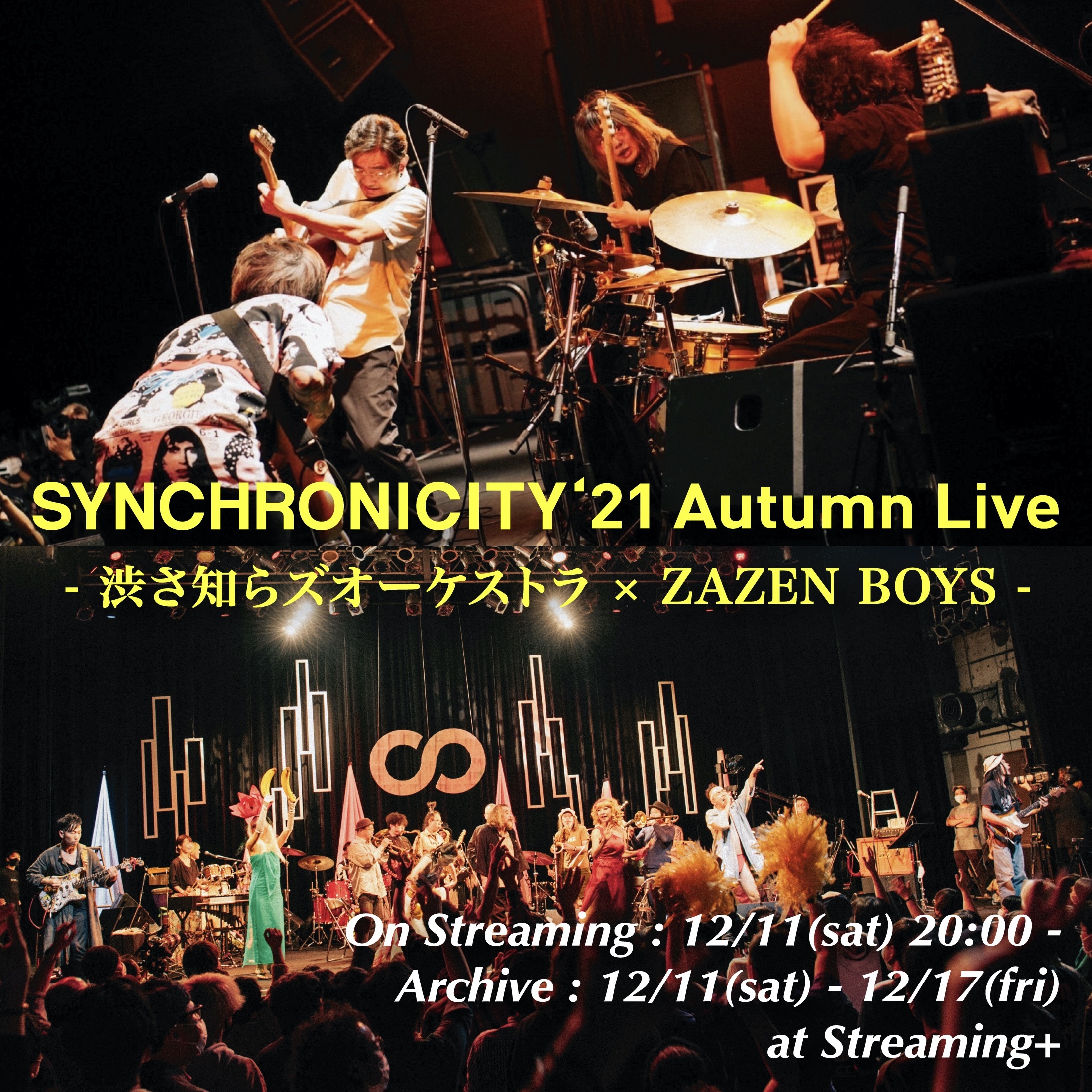 渋さ知らズオーケストラ、ZAZEN BOYSのツーマンライブ『SYNCHRONICITY 