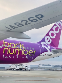 back number、Peachとのコラボが決定 自動チェックイン機や客室乗務員